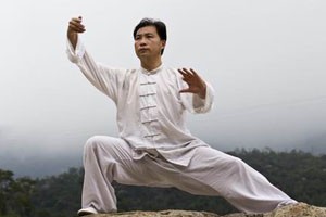 九式太极拳第四套（中）