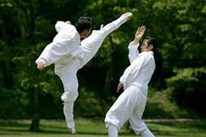 九式太极拳第四套（下）