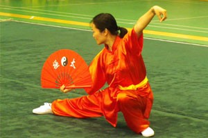 九式太极扇第一套（上）