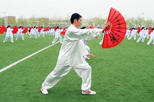 九式太极扇第二套（中）