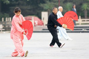 九式太极扇第二套（下）