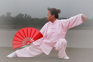 九式太极扇第三套（上）