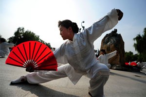 九式太极扇第四套（中）