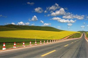 2016全国景区微交通新型服务项目