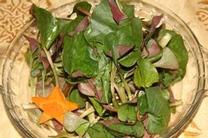 天然消炎药（中）