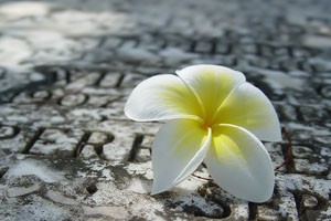 不生气不生病（五）