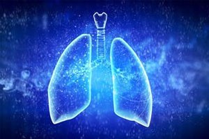 黄帝内经人体的宰相—肺