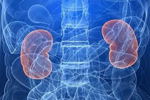 黄帝内经肾为先天之本