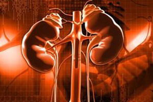 黄帝内经肾的神奇影响力