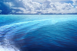 为了中国海 还能无限蓝