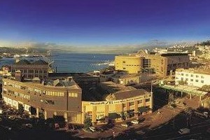 惠灵顿——碧海神钓