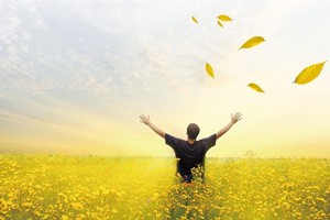 江南生息慢渡高淳