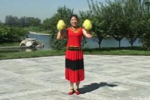 中老年健身操花棒健身操（中）