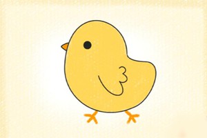 小鸡