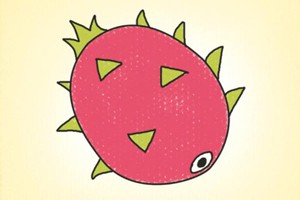 火龙果