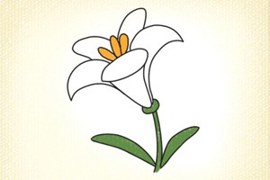 百合