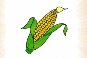 玉米