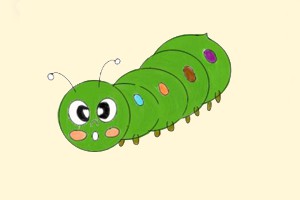 毛毛虫