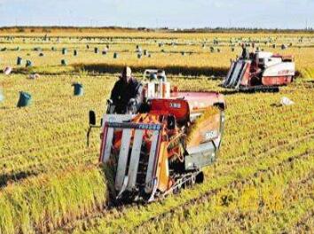 加快农村改革 推进一体化进程（上）