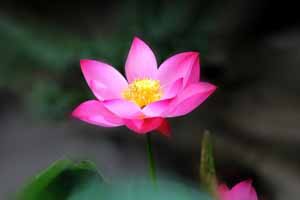 中国传统哲学与和谐世界建构（下）