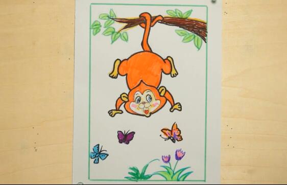 多彩动物园顽皮的小猴子（上）