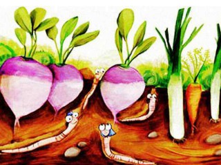 小蚯蚓可以解决5.2亿亩盐碱地的大问题