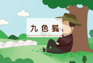 九色狐