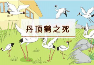 丹顶鹤之死