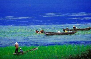 农村生态环境与文化遗产保护（一）