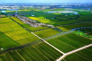 中国耕地保护困境、挑战与对策（一）