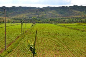 高标准基本农田建设理论与实践（一）