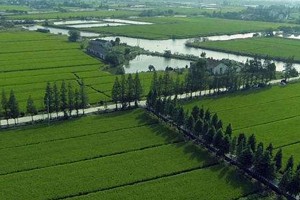 中国耕地资源休养生息战略及其实现（一）