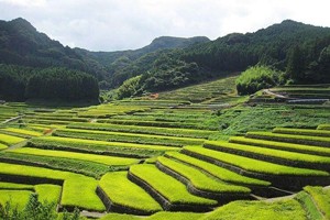 中国地理空间与文明转换（一）