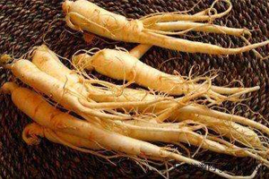 大海中的人参（上）