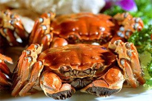 晴雨相伴太湖水（上）