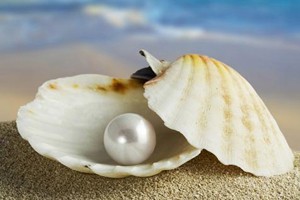 北部湾的精灵（下）