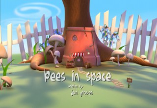 Bees in Space