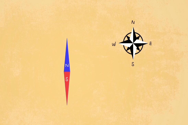 科普中国之阿优学科学动物自带指南针吗