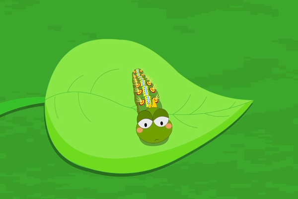 科普中国之阿优学科学毛毛虫也能伪装成毒蛇吗