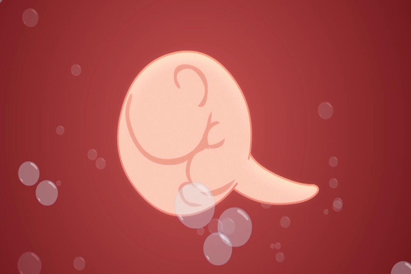 科普中国之阿优学科学你在妈妈肚子里是什么样子的