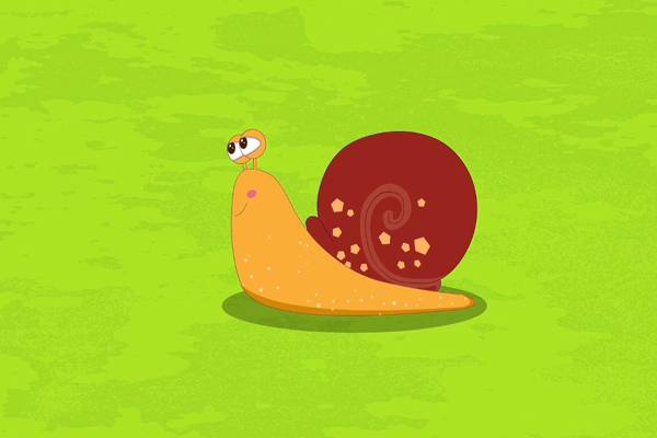 科普中国之阿优学科学蜗牛也有左撇子吗