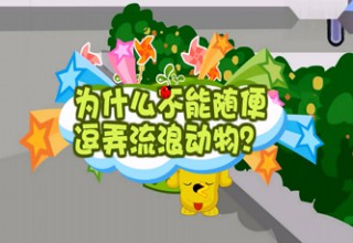 为什么不能随便逗弄流浪动物