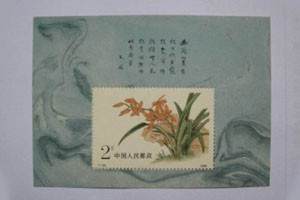 方寸之间天地宽（上）