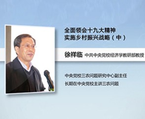 全面领会十九大精神 实施乡村振兴战略（中）