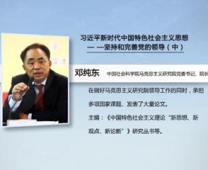 习近平新时代中国特色社会主义思想—坚持和完善党的领导（中）