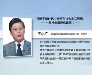 习近平新时代中国特色社会主义思想—坚持全面深化改革（中）