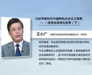 习近平新时代中国特色社会主义思想—坚持全面深化改革（下）